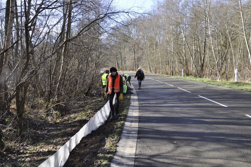 2013 02 25 Montage du crapaudrome 06